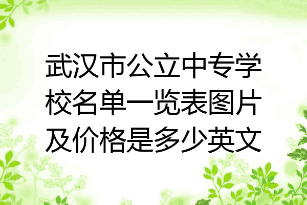武汉市公立中专学校名单一览表图片及价格是多少英文