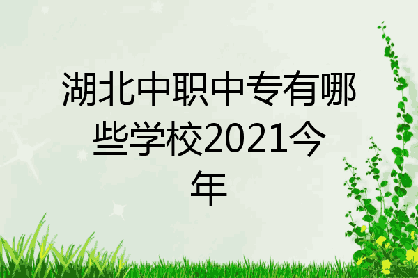 湖北中职中专有哪些学校2021今年