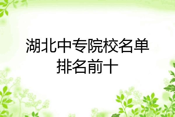 湖北中专院校名单排名前十