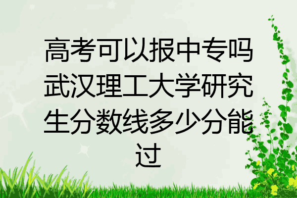 高考可以报中专吗武汉理工大学研究生分数线多少分能过