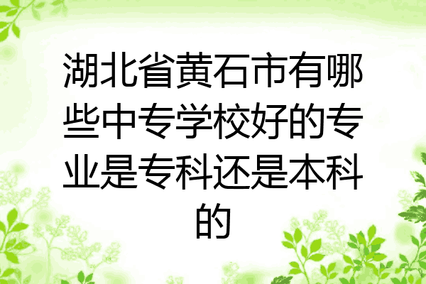 湖北省黄石市有哪些中专学校好的专业是专科还是本科的