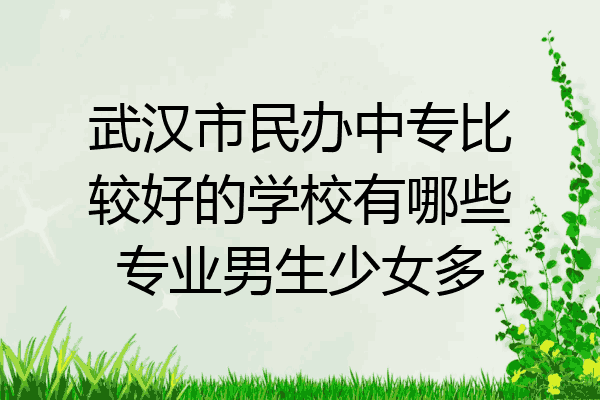 武汉市民办中专比较好的学校有哪些专业男生少女多