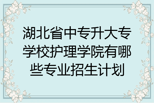 湖北省中专升大专学校护理学院有哪些专业招生计划