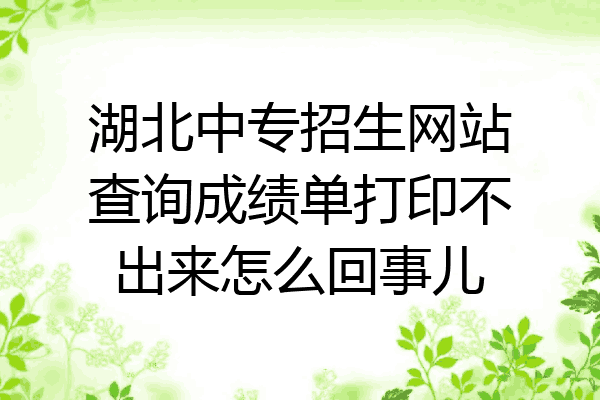 湖北中专招生网站查询成绩单打印不出来怎么回事儿