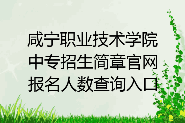 咸宁职业技术学院中专招生简章官网报名人数查询入口