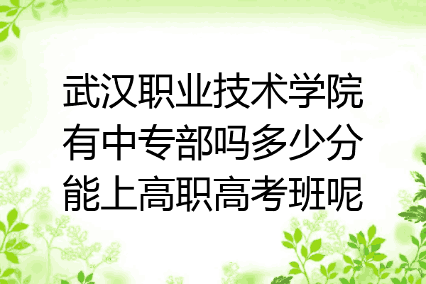武汉职业技术学院有中专部吗多少分能上高职高考班呢