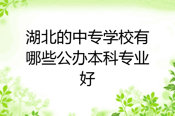 湖北的中专学校有哪些公办本科专业好