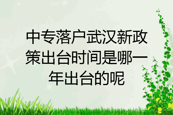 中专落户武汉新政策出台时间是哪一年出台的呢