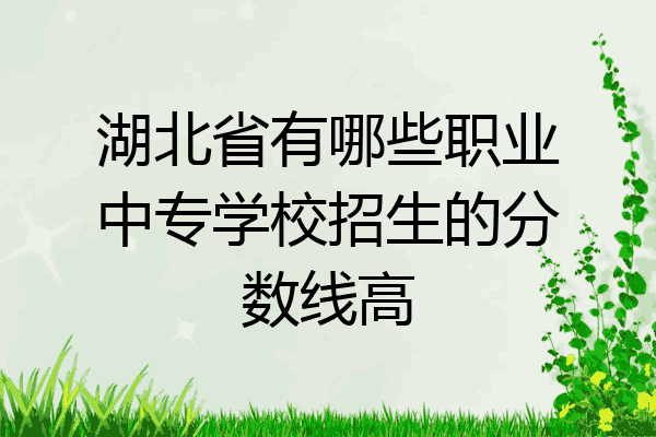 湖北省有哪些职业中专学校招生的分数线高