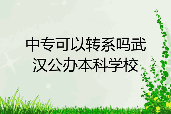 中专可以转系吗武汉公办本科学校