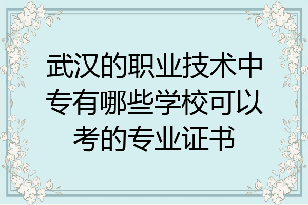 武汉的职业技术中专有哪些学校可以考的专业证书