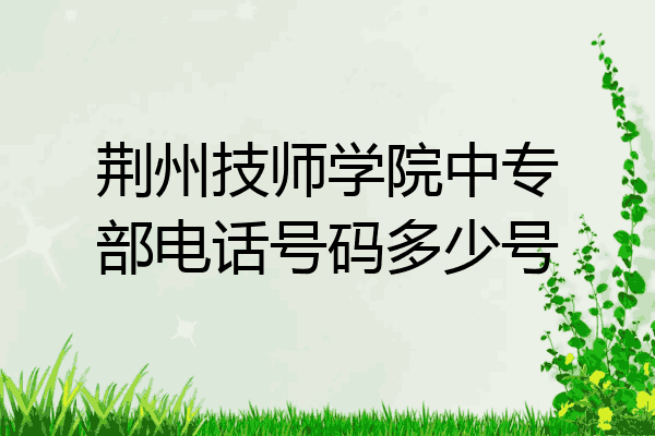 荆州技师学院中专部电话号码多少号