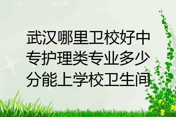 武汉哪里卫校好中专护理类专业多少分能上学校卫生间
