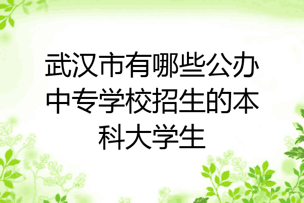 武汉市有哪些公办中专学校招生的本科大学生