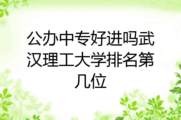 公办中专好进吗武汉理工大学排名第几位