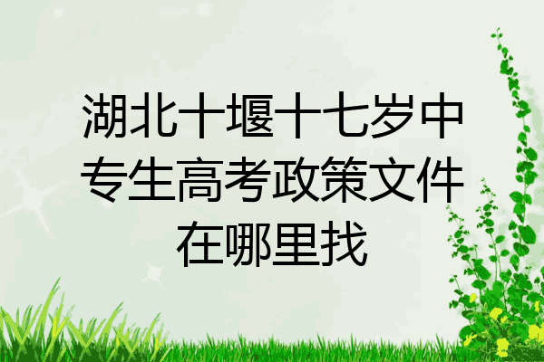 湖北十堰十七岁中专生高考政策文件在哪里找