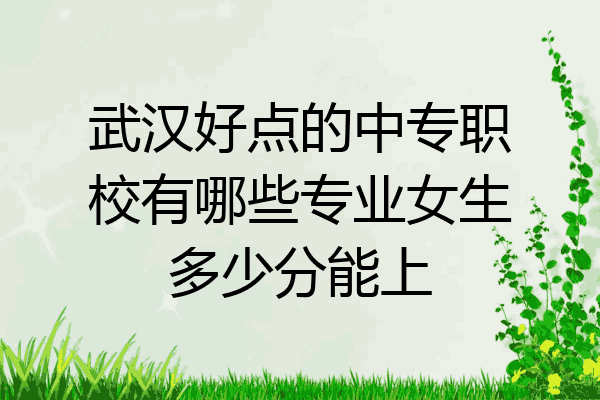 武汉好点的中专职校有哪些专业女生多少分能上