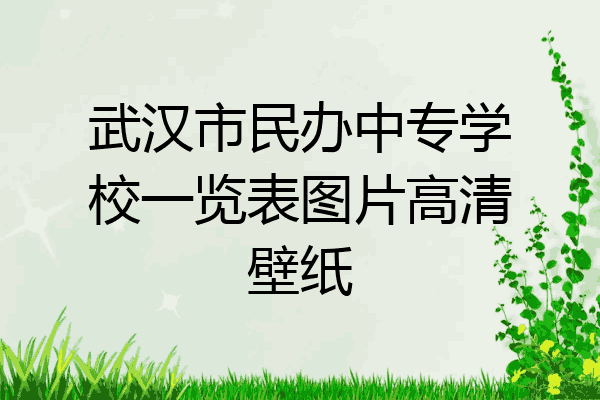 武汉市民办中专学校一览表图片高清壁纸
