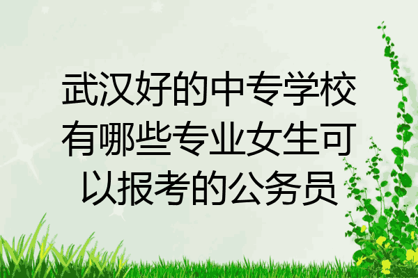 武汉好的中专学校有哪些专业女生可以报考的公务员