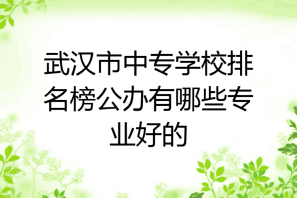 武汉市中专学校排名榜公办有哪些专业好的