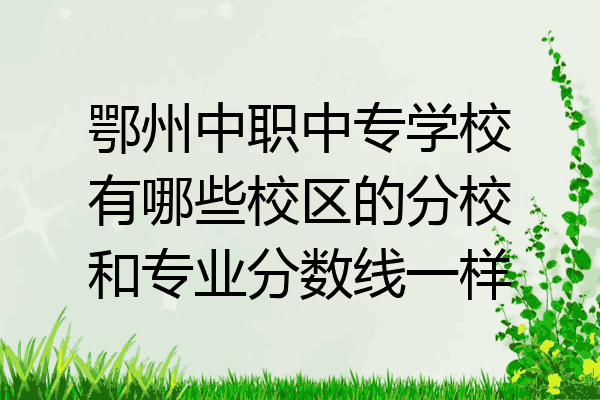 鄂州中职中专学校有哪些校区的分校和专业分数线一样