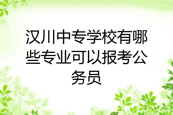 汉川中专学校有哪些专业可以报考公务员