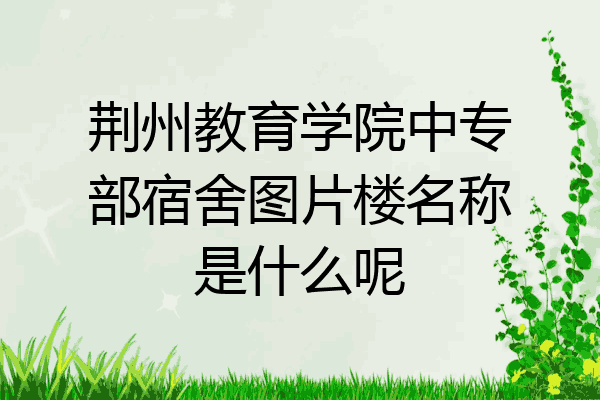 荆州教育学院中专部宿舍图片楼名称是什么呢