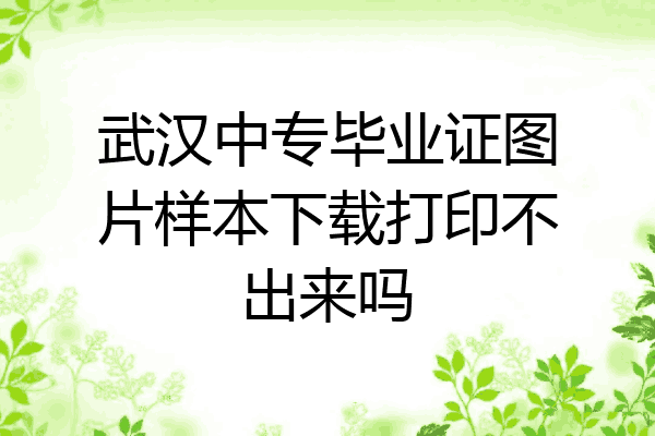 武汉中专毕业证图片样本下载打印不出来吗
