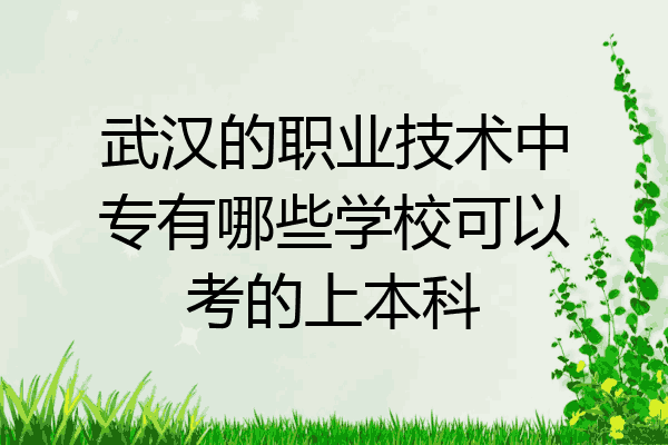 武汉的职业技术中专有哪些学校可以考的上本科