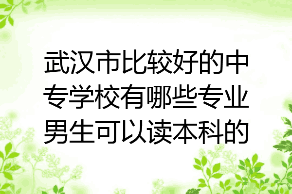 武汉市比较好的中专学校有哪些专业男生可以读本科的