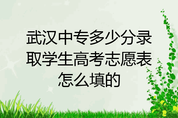 武汉中专多少分录取学生高考志愿表怎么填的