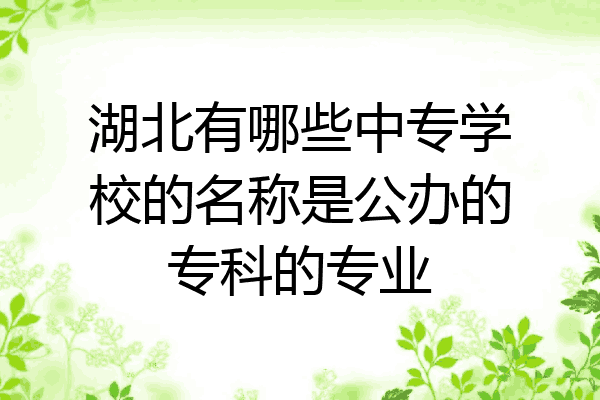 湖北有哪些中专学校的名称是公办的专科的专业