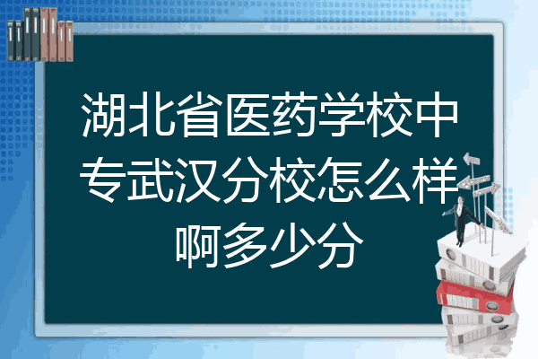 湖北省医药学校中专武汉分校怎么样啊多少分