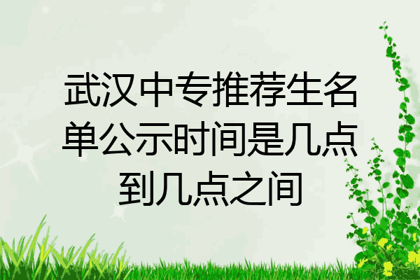 武汉中专推荐生名单公示时间是几点到几点之间