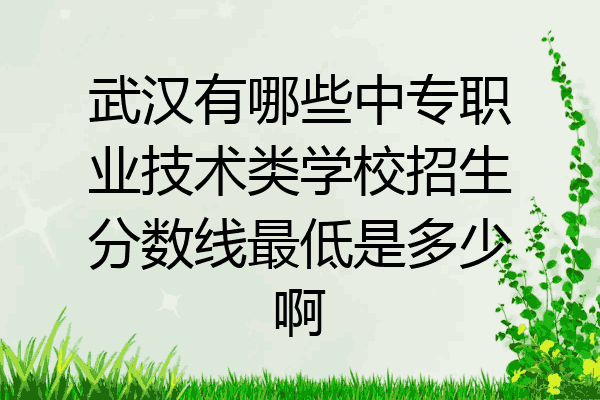 武汉有哪些中专职业技术类学校招生分数线最低是多少啊