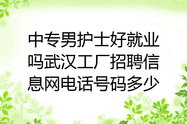 中专男护士好就业吗武汉工厂招聘信息网电话号码多少