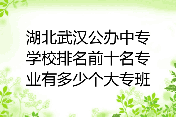 湖北武汉公办中专学校排名前十名专业有多少个大专班