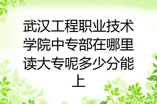 武汉工程职业技术学院中专部在哪里读大专呢多少分能上