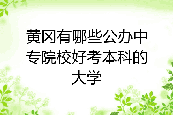 黄冈有哪些公办中专院校好考本科的大学