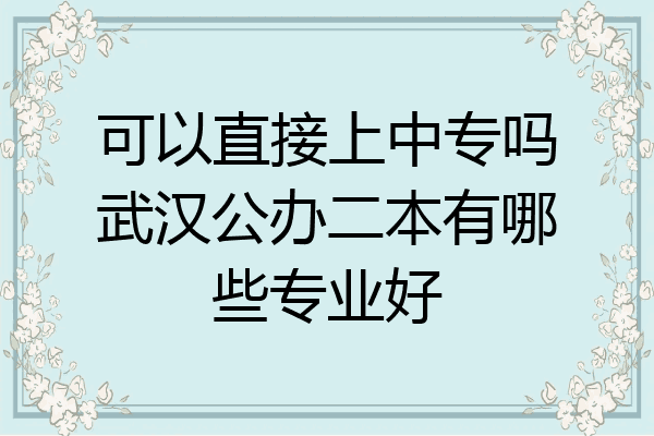 可以直接上中专吗武汉公办二本有哪些专业好