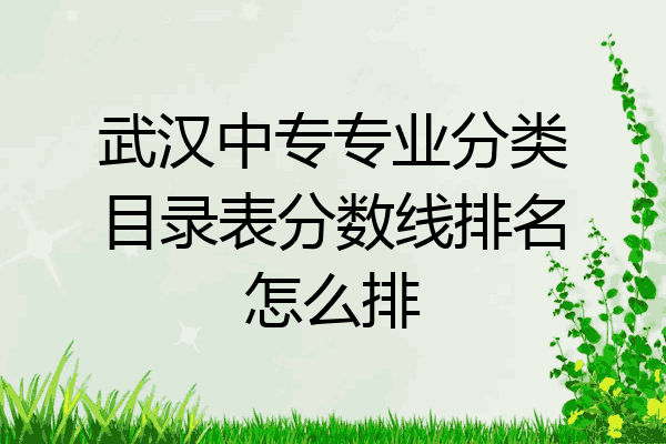 武汉中专专业分类目录表分数线排名怎么排