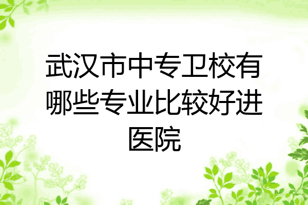 武汉市中专卫校有哪些专业比较好进医院