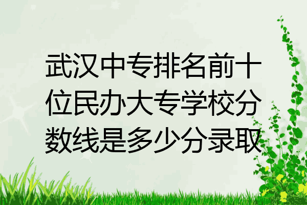 武汉中专排名前十位民办大专学校分数线是多少分录取
