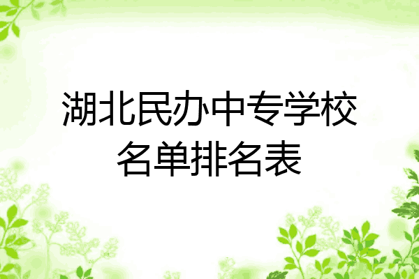 湖北民办中专学校名单排名表