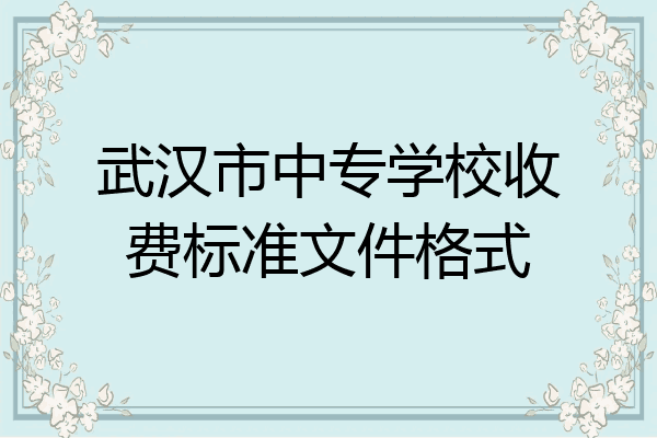 武汉市中专学校收费标准文件格式