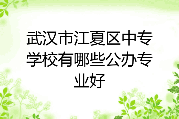 武汉市江夏区中专学校有哪些公办专业好