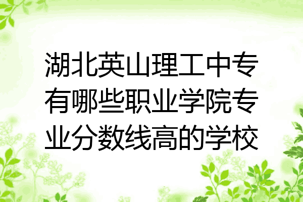 湖北英山理工中专有哪些职业学院专业分数线高的学校