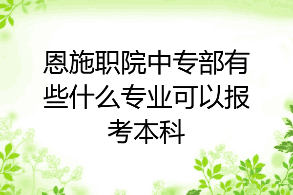 恩施职院中专部有些什么专业可以报考本科