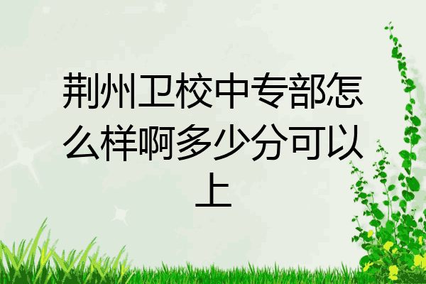 荆州卫校中专部怎么样啊多少分可以上