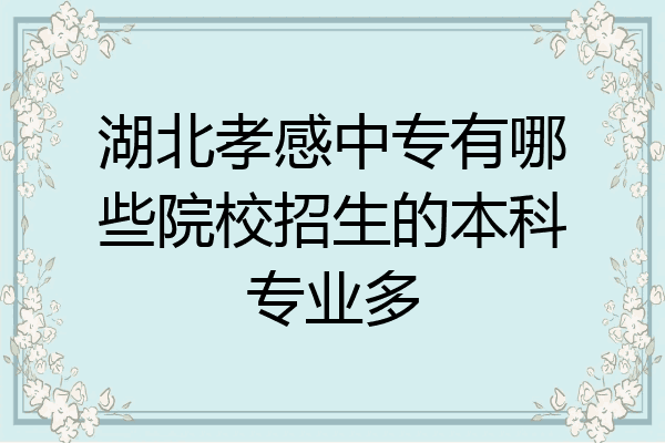 湖北孝感中专有哪些院校招生的本科专业多